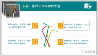浙大博士团实地调研 双童 低成本创新模式 如何让低 小 散 弱的小商品焕发出光彩和生机