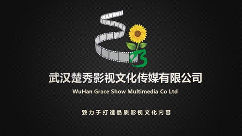 武汉楚秀影视文化传媒